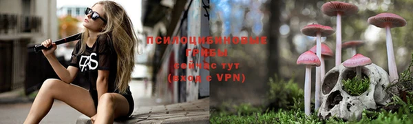 кокс Липки