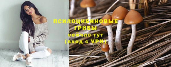 мдпв Лихославль
