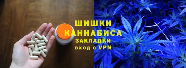 СК Лиски