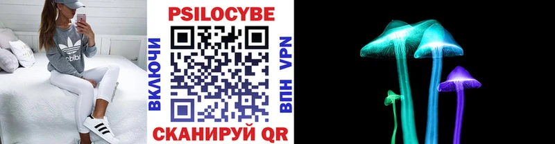 Галлюциногенные грибы GOLDEN TEACHER  Шенкурск 